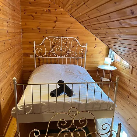 Bois Au Coeur Des Pyrenees Ariegeoises