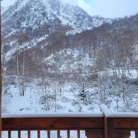 Bois Au Coeur Des Pyrenees Ariegeoises