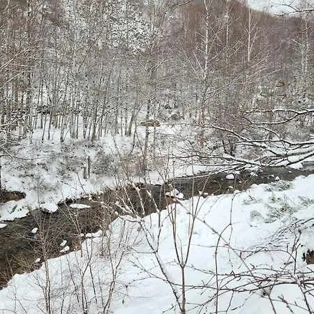 Bois Au Coeur Des Pyrenees Ariegeoises בקתה LʼHospitalet-près-lʼAndorre