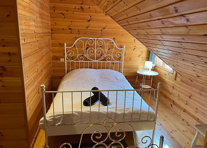 Bois Au Coeur Des Pyrénées Ariégeoises