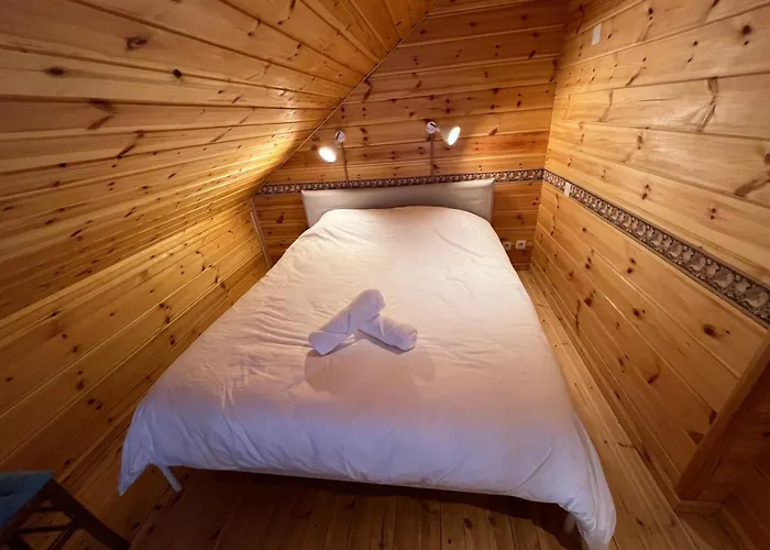 Bois Au Coeur Des Pyrénées Ariégeoises * LʼHospitalet-près-lʼAndorre