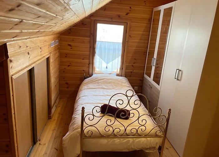 Bois Au Coeur Des Pyrénées Ariégeoises