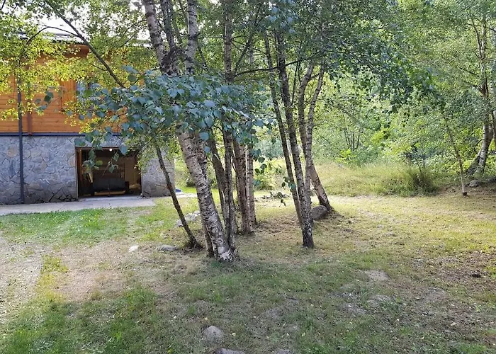 Bois Au Coeur Des Pyrénées Ariégeoises Chalet *
