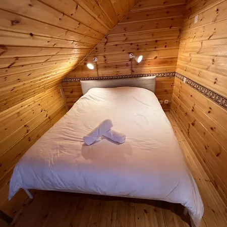 Bois Au Coeur Des Pyrenees Ariegeoises * LʼHospitalet-près-lʼAndorre