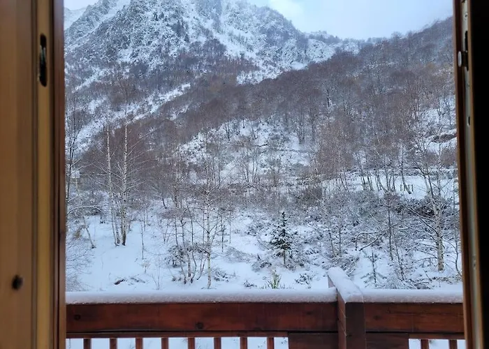 Bois Au Coeur Des Pyrenees Ariegeoises