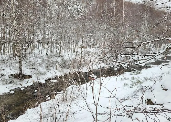 Bois Au Coeur Des Pyrenees Ariegeoises Chalet LʼHospitalet-près-lʼAndorre